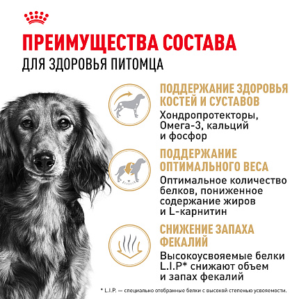 Royal Canin Dachshund Adult Корм сухой для взрослых собак породы Такса от 10 месяцев, 7,5 кг